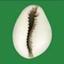 Will Forces Cauris pour un Bénin Émergent (FCBE) win the most seats in the 2026 Benin parliamentary election?