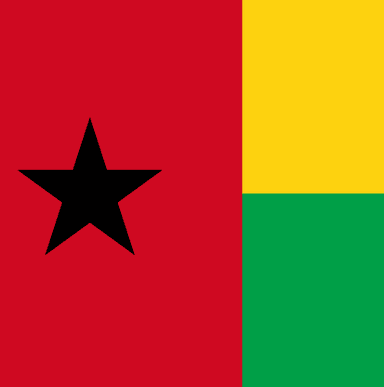 Will Honório Augusto Lopes win the 2025 Guinea-Bissau presidential election?