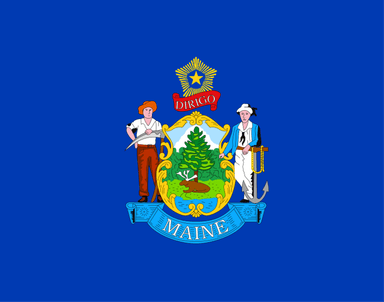 Will Chellie Pingree be the Democratic nominee for Senate in Maine?